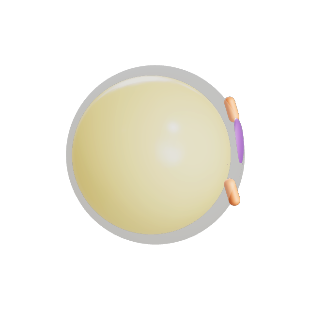 3D render of a Fat Cell