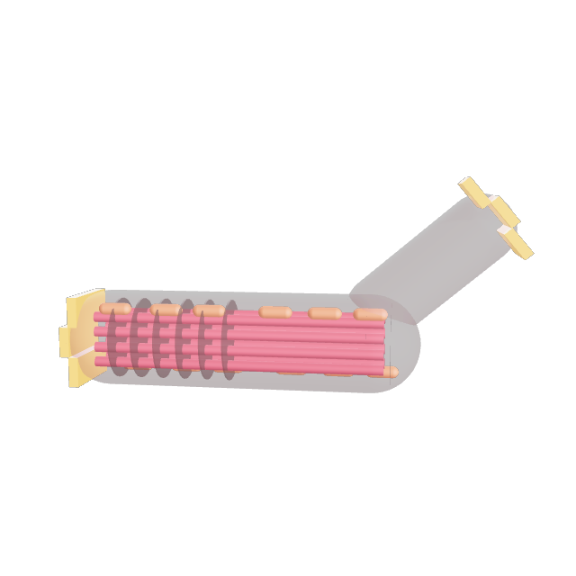3D render of a Cardiac Muscle Cell