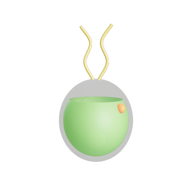 3D render of a Chlamydomonas