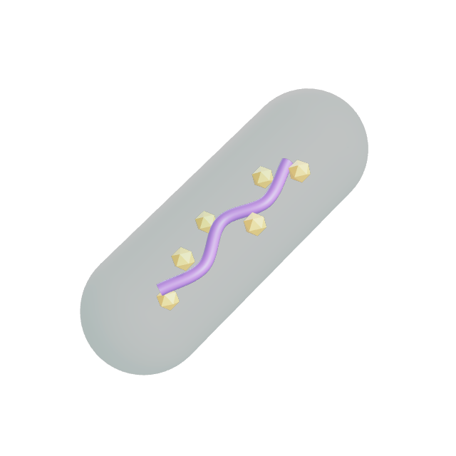 3D render of a Cyanobacterium