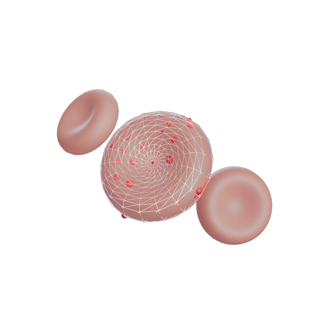 3D render of a Red Blood Cell
