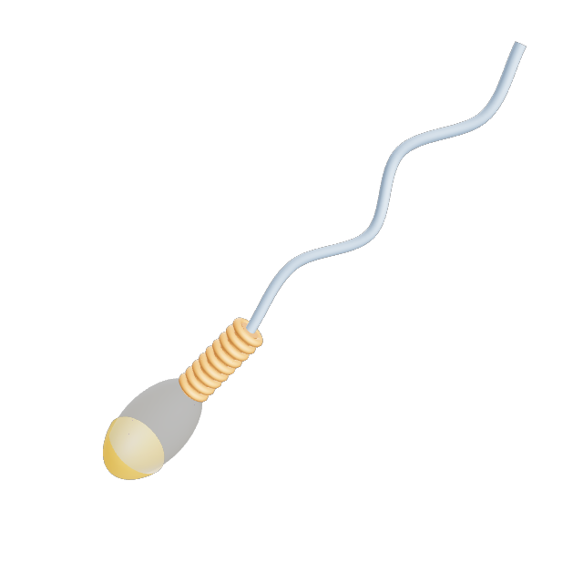 3D render of a Sperm Cell